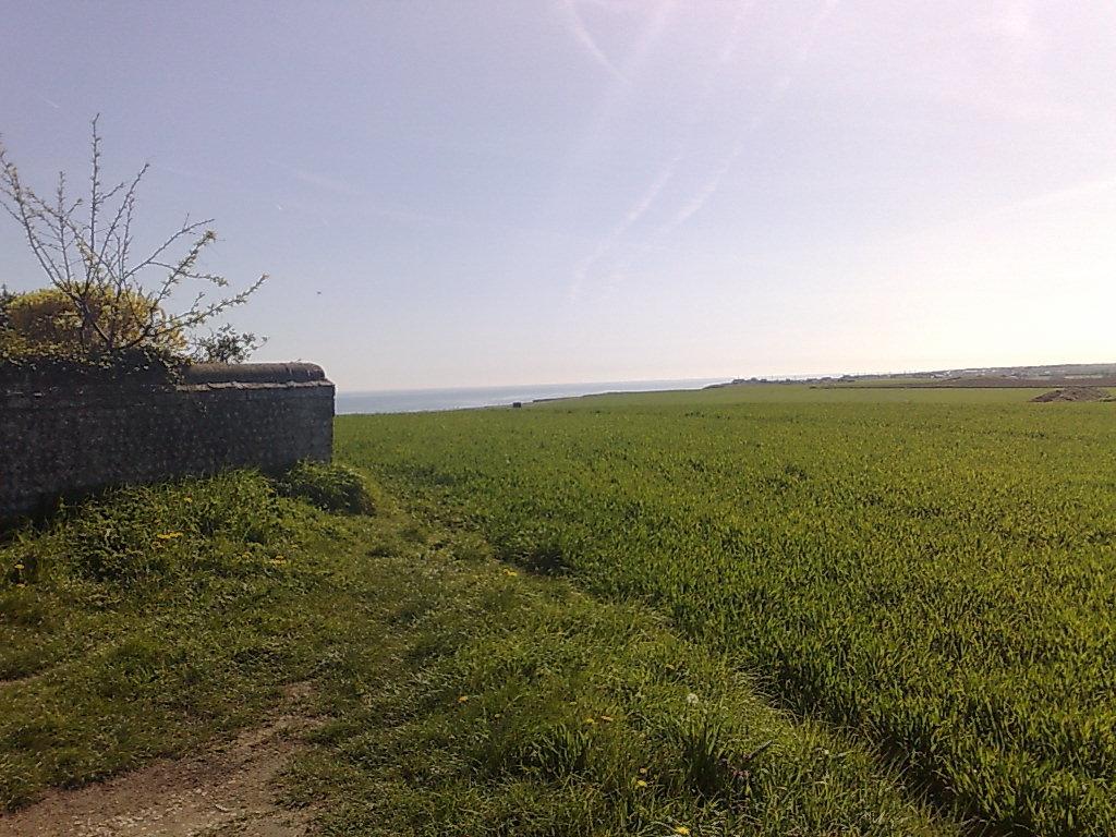 Seaview Cottage Bacton  Exterior photo